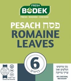 Bodek Romaine Lettuce Leaves